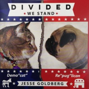 Jesse Goldberg | Divided We Stand | CD
