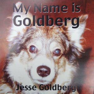 Jesse Goldberg - My Name Is Goldberg - Album Cover